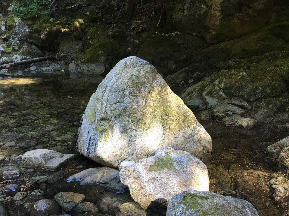 Woodland Walk Trail Head | 1500 Conifer Dr, Coquitlam, BC V3E 3H2, Canada