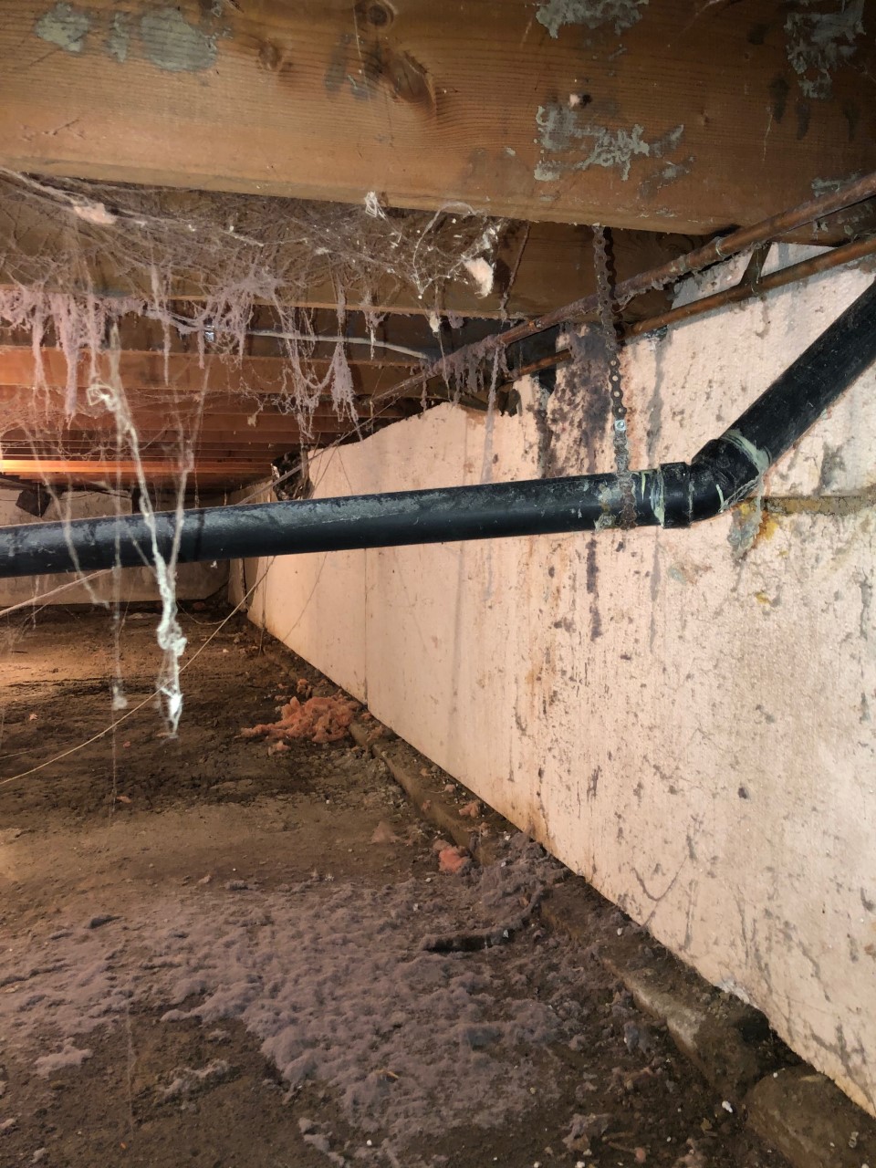 Crawl Space and Basement Repair Fix Wet Crawlspace | 11529 84a Ave, Delta, BC V4C 2S5, Canada | Phone: (604) 700-6559