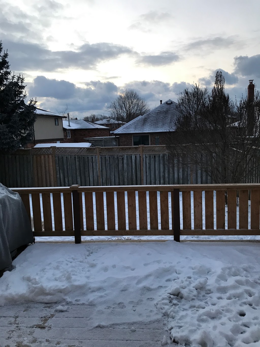 Paws and Palaces | 33 Soper Creek Dr, Bowmanville, ON L1C 4G3, Canada | Phone: (289) 355-0106