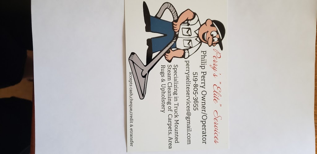 Perrys Elite Services | 52 Jennings Rd, Brantford, ON N3T 5L7, Canada | Phone: (519) 805-3655