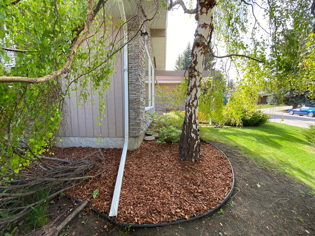 Top Turf | 140 Elgin Meadows Gardens SE, Calgary, AB T2Z 0M3, Canada | Phone: (587) 438-0036
