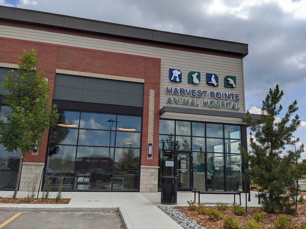 Harvest Pointe Animal Hospital | 5255 Ellerslie Rd SW, Edmonton, AB T6X 1X2, Canada | Phone: (587) 735-6677
