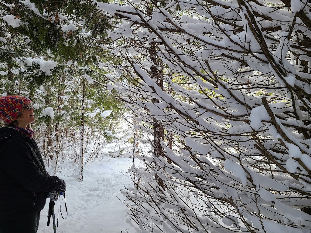 Hibou Conservation Area | County Rd 15, Owen Sound, ON N0H 1V0, Canada | Phone: (519) 376-3076