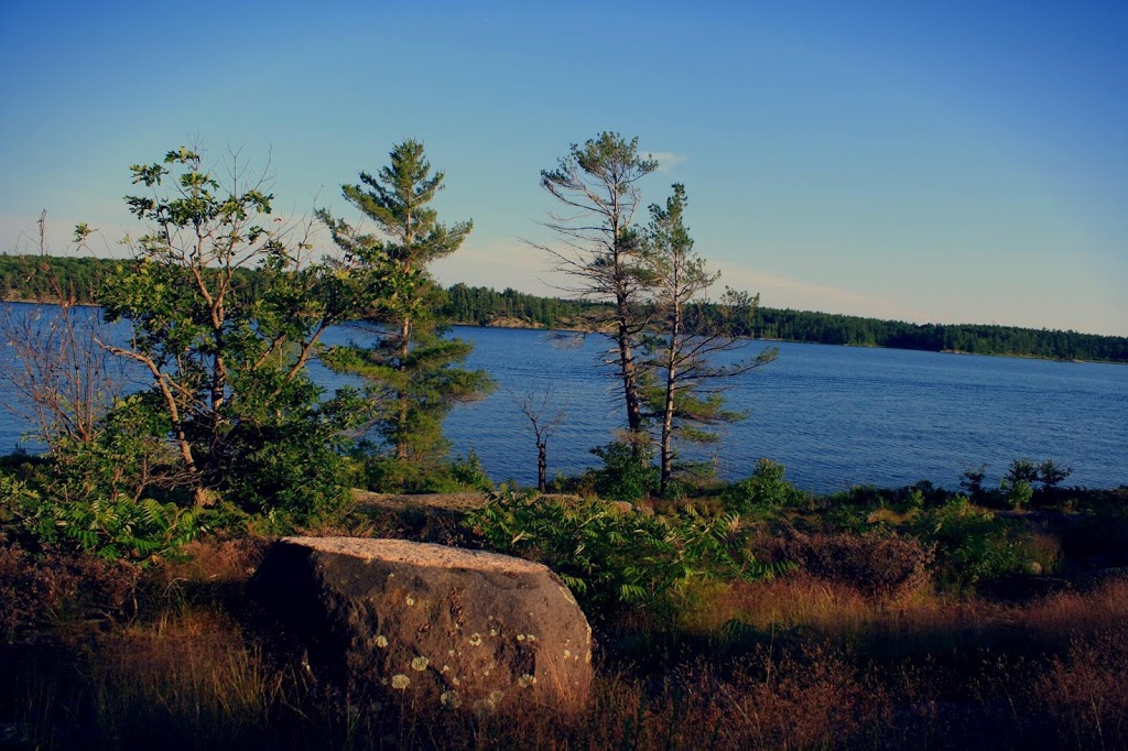 Moon River Marine | 714 Healey Lake Rd, MacTier, ON P0C 1H0, Canada | Phone: (705) 375-2342
