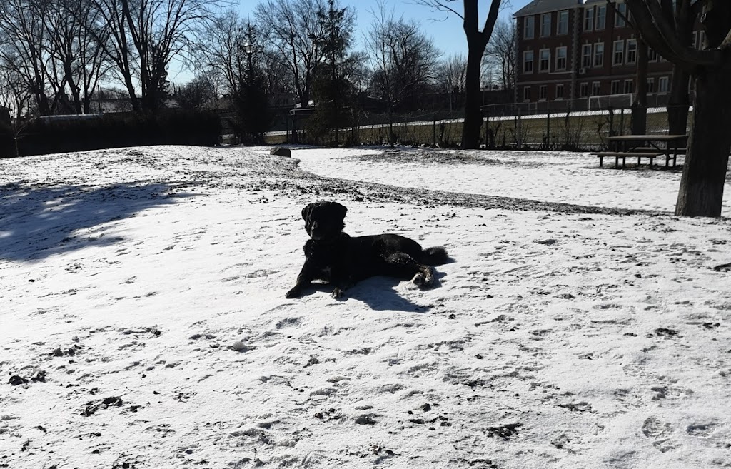 Montreal West dog park | 17 Chem. Ainslie, Montréal-Ouest, QC H4X 1V3, Canada | Phone: (514) 872-0311