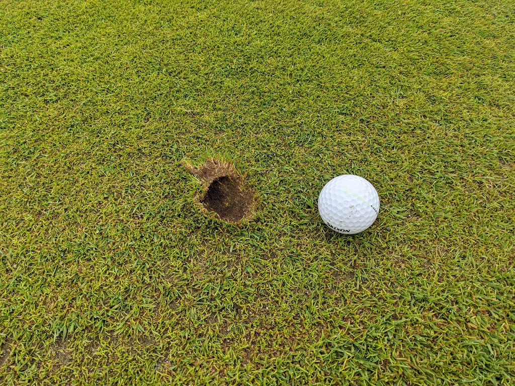Westminster Trails Golf Course | 2465 Westminster Dr, London, ON N6N 1L7, Canada | Phone: (519) 668-6121