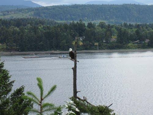 Page Point Inn | 4760 Brenton Page Rd, Ladysmith, BC V9G 1L7, Canada | Phone: (250) 245-2312
