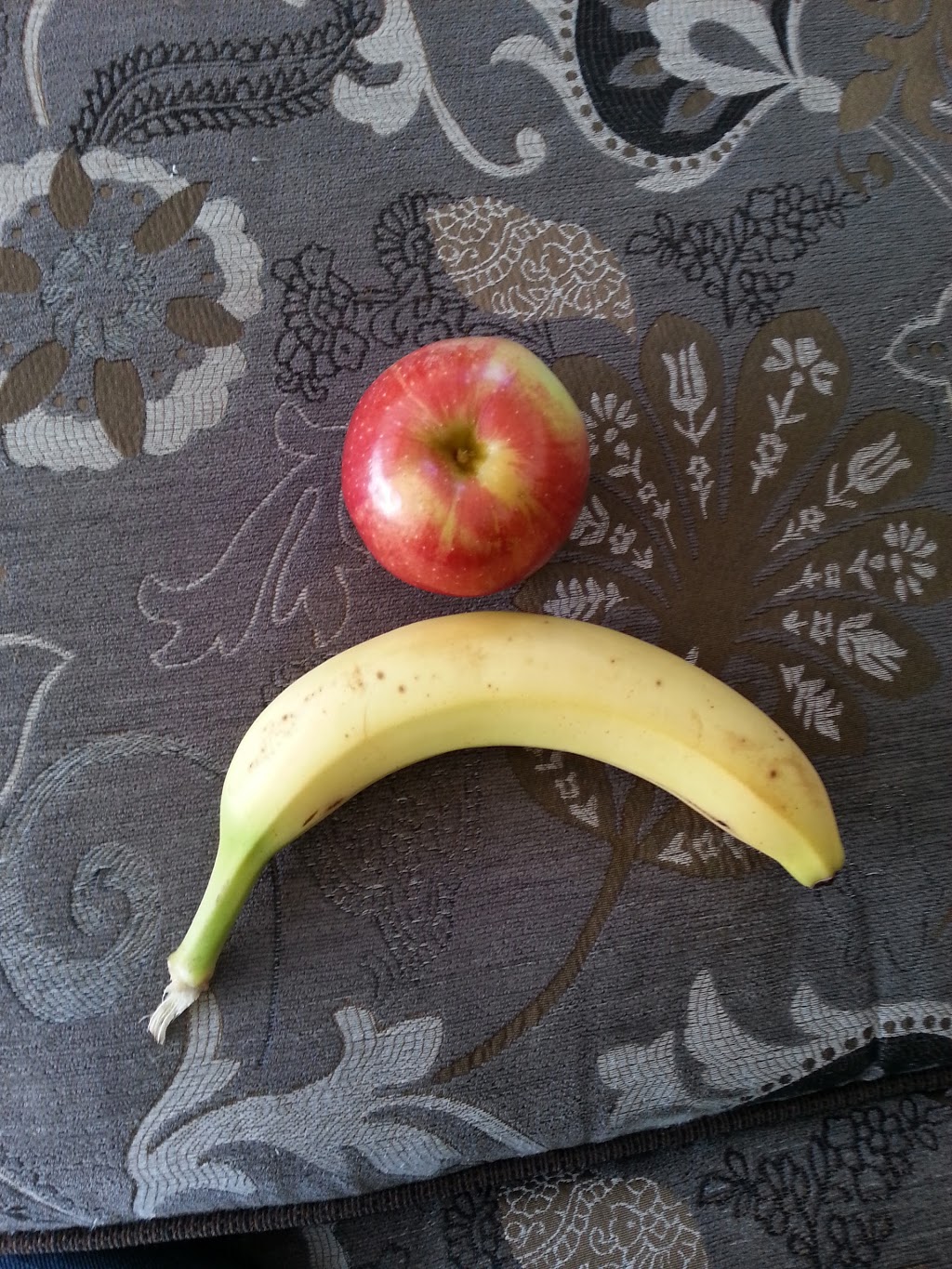 Parc de la 41e Avenue 137 41e Av, SainteMarthesurleLac, QC J7P