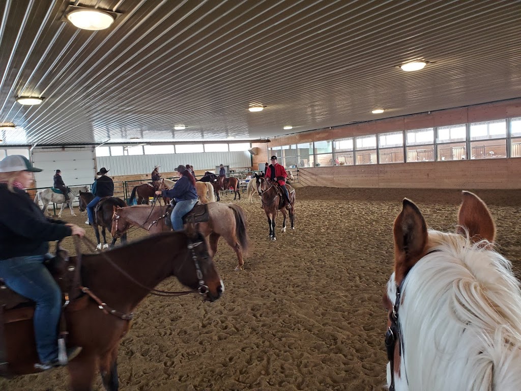 Eagle Hill Equine | RR#2, Site 6, Box 9, Olds, AB T4H 1P3, Canada | Phone: (403) 556-1195