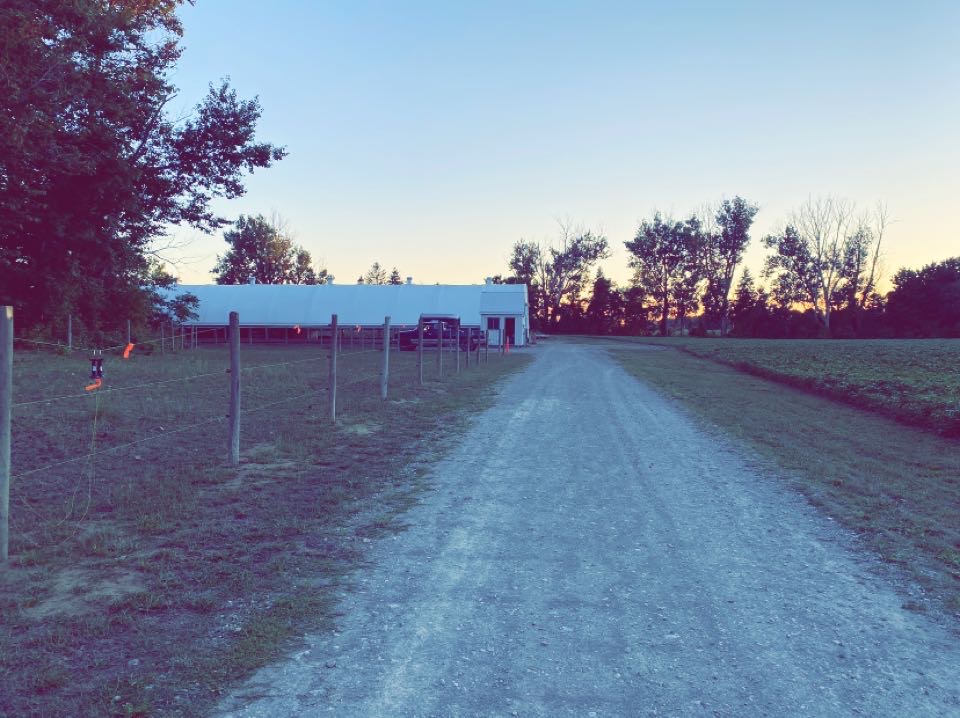 Creekside Equestrian Farm | 429 Norwich Rd, Norwich, ON N0J 1P0, Canada | Phone: (226) 921-6048