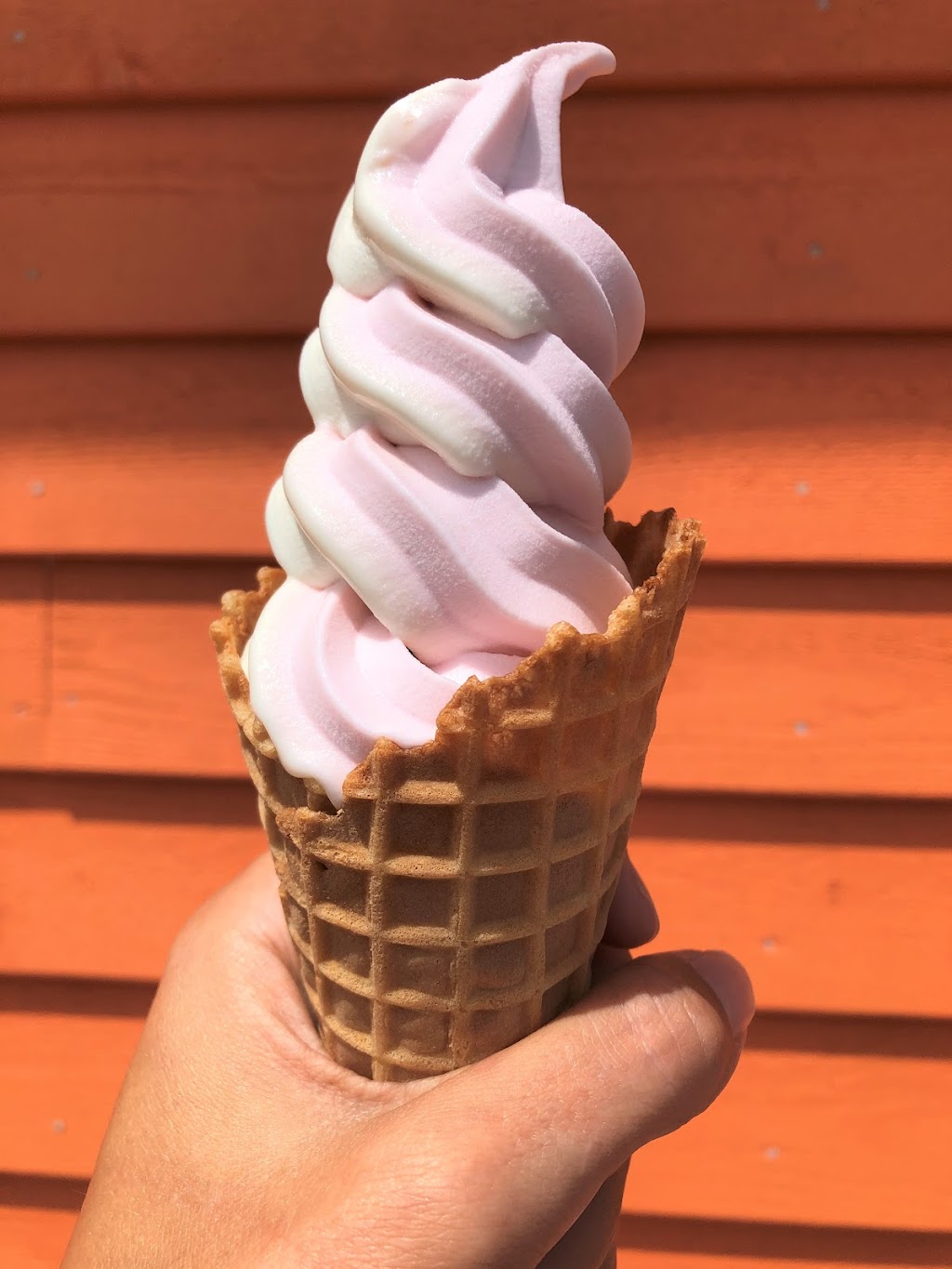 Chillz Dairy Bar | 8863 Cavendish Rd, Cavendish, PE C0A 1N0, Canada | Phone: (902) 963-3939