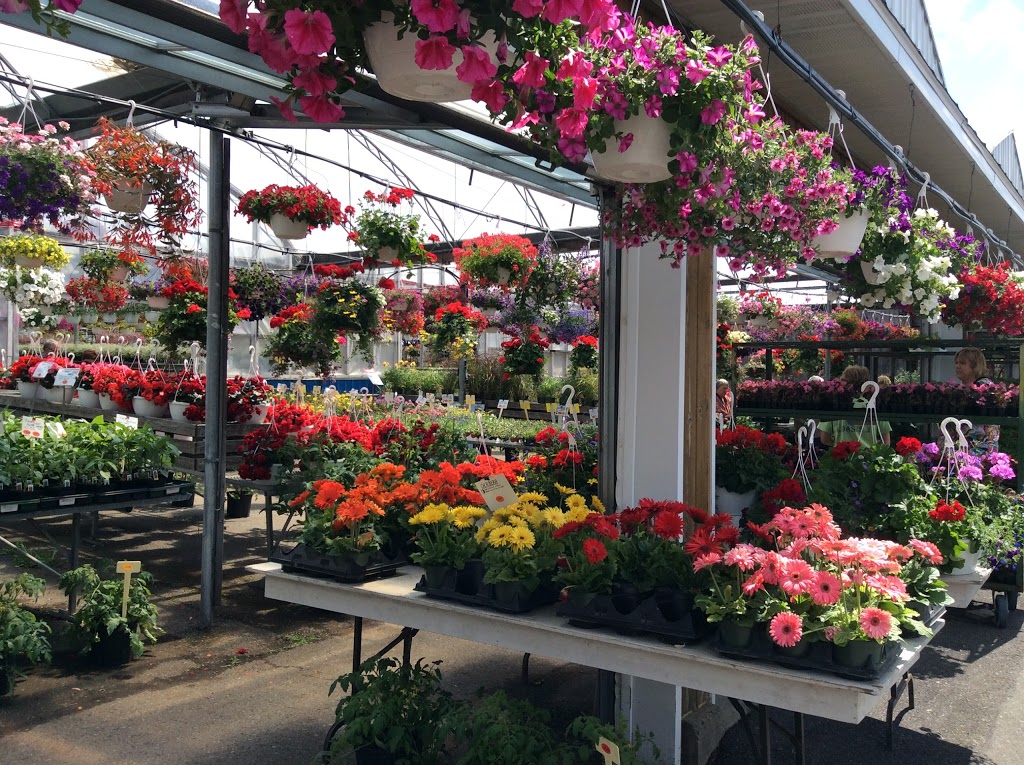 Serres Oasis | 20 Route 116, Saint-Christophe-dArthabaska, QC G6R 0S1, Canada | Phone: (819) 357-4444