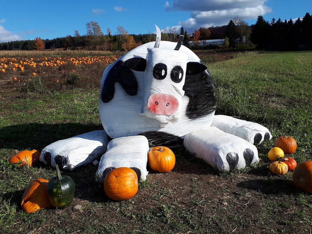 Ferme Simon Fortin Inc. | 1089 Québec 271 N, Sainte-Clotilde-de-Beauce, QC G0N 1C0, Canada | Phone: (418) 957-9464