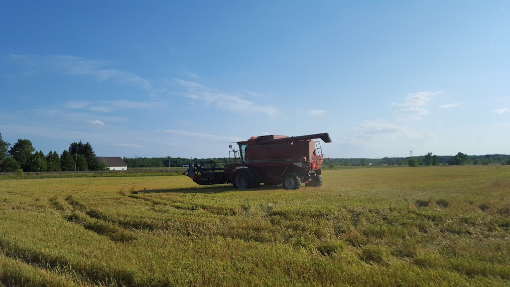 Fermes Longpres Ltee | 1854 Chem. du Fleuve, Les Cèdres, QC J7T 1E4, Canada | Phone: (450) 452-4559