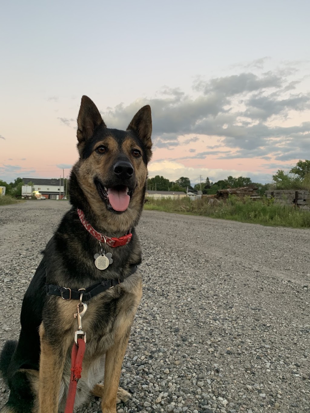 Hamilton Burlington SPCA | 245 Dartnall Rd, Hamilton, ON L8W 3V9, Canada | Phone: (905) 574-7722