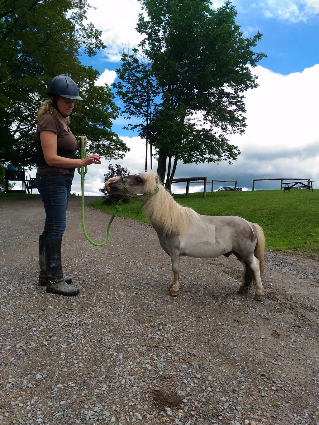 Maple Crescent Farm | 9741 County Rd 10, Campbellcroft, ON L0A 1B0, Canada | Phone: (905) 797-2598