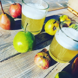 Windswept Cider | 317282 3 Line, Meaford, ON N4L 1W7, Canada | Phone: (519) 217-1479