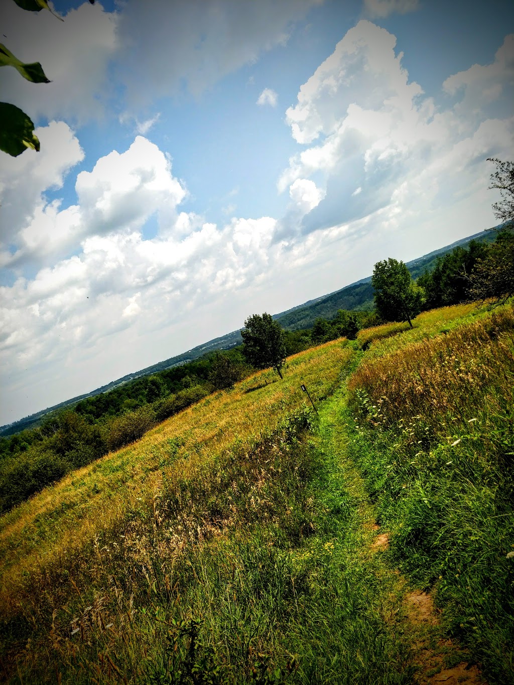 Boyne Valley Provincial Park | Shelburne, ON L0N 1S0, Canada | Phone: (705) 435-2498
