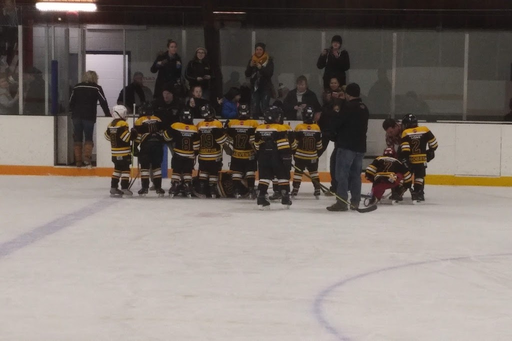 Langton & Area Arena | 30 Albert St, Langton, ON N0E 1G0, Canada | Phone: (519) 875-2709
