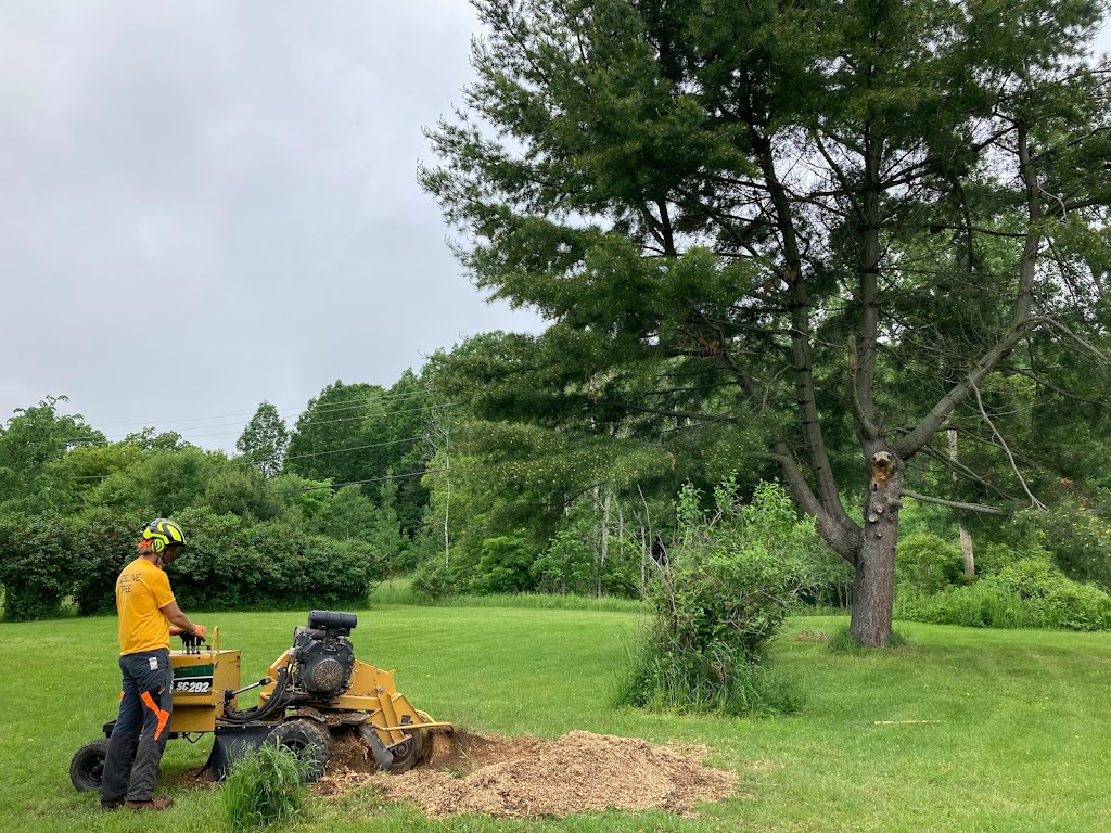 Sideline Tree Service | 3822 Kingston 2, Gananoque, ON K7G 2V5, Canada | Phone: (613) 540-3121