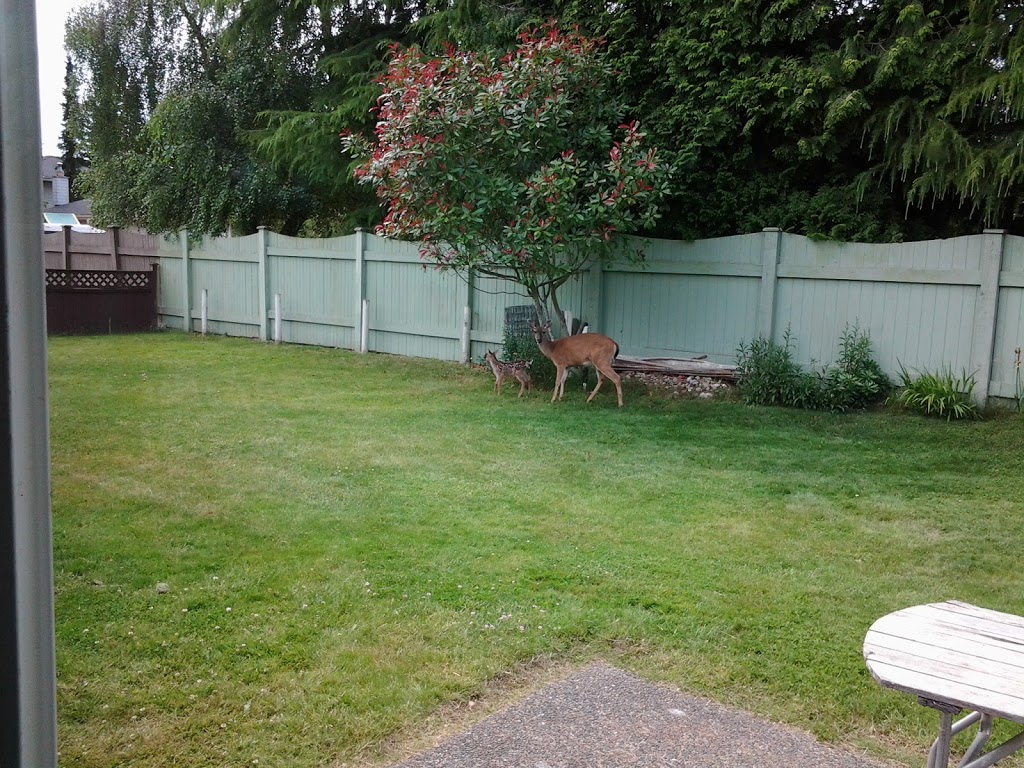 King Alfred Park | 4408-, 4410 King Alfred Ct, Victoria, BC V8N 6E4, Canada