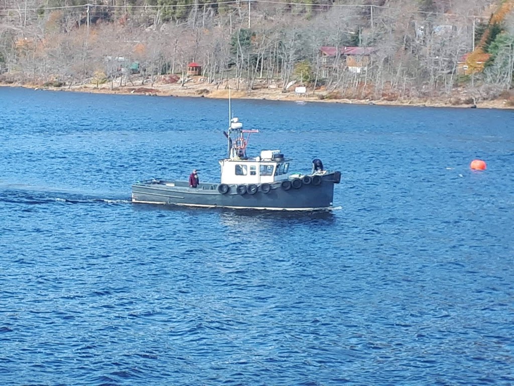 Jordive Limited | 3282 NB-845, Long Reach, NB E5S 2L9, Canada | Phone: (506) 763-6003