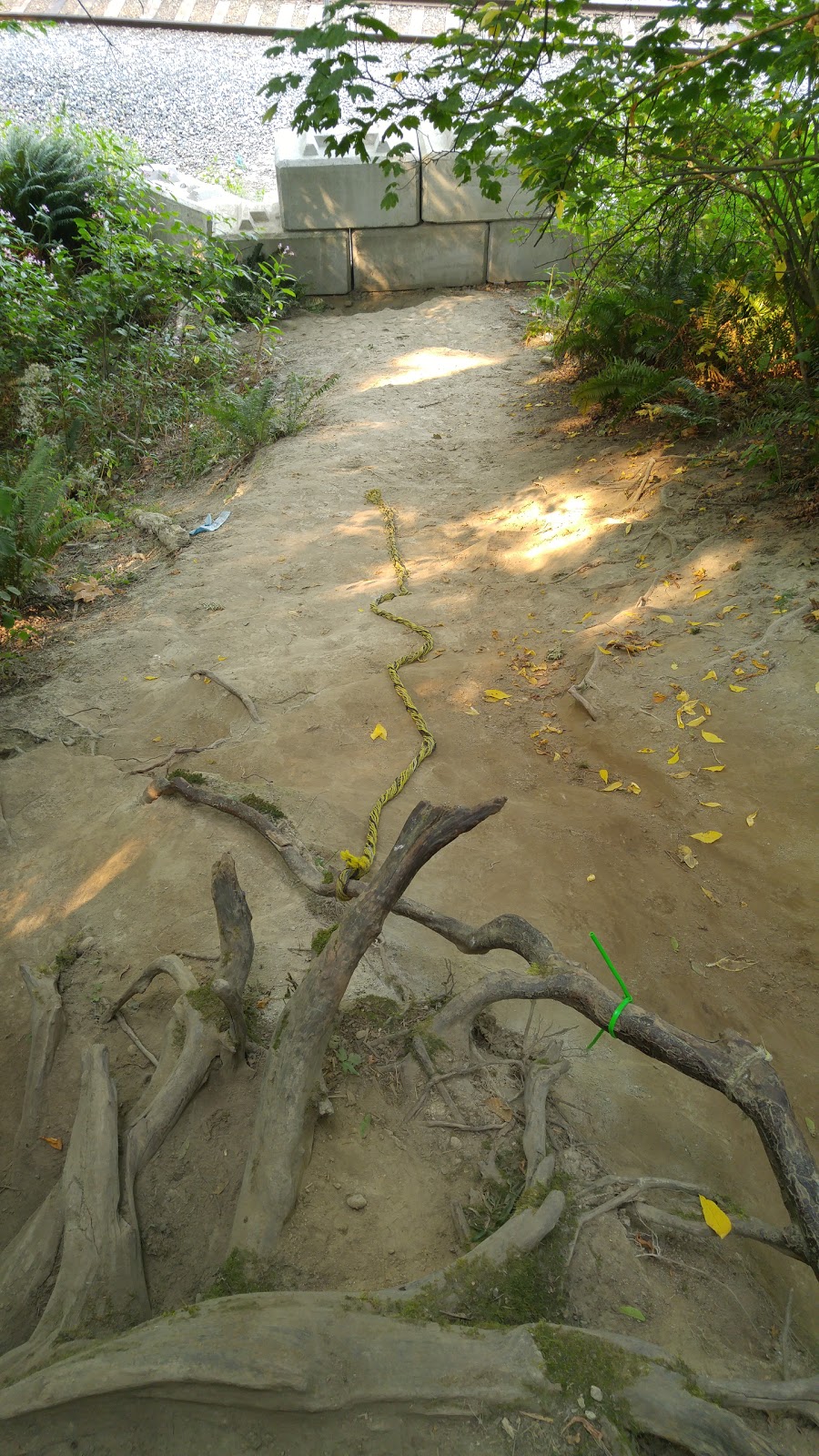 Confederation Park Off-Leash Trail | Burnaby, BC V5C 5S8, Canada
