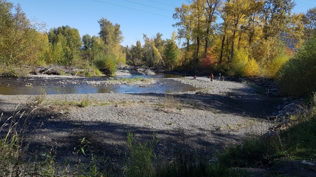 Tims By The River Campsite | 15 Range Rd, Falkland, BC V0E 1W1, Canada | Phone: (250) 379-2379