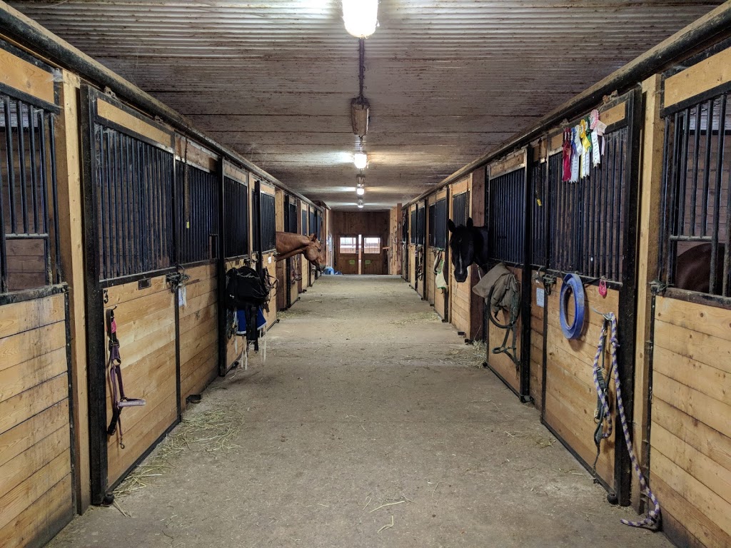 Lenka Equestrian Centre | 750 Concession 8 W, Puslinch, ON N0B 2J0, Canada | Phone: (905) 629-2238