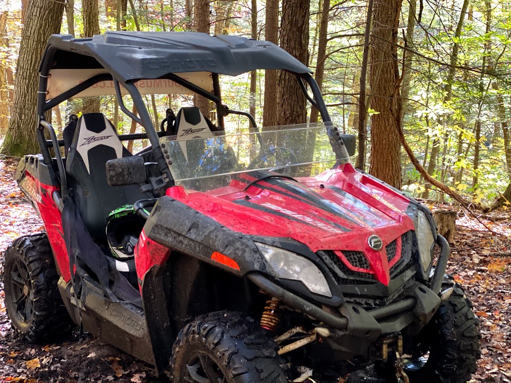 TOURMUSKOKA.COM | 1011 Gostick Rd, MacTier, ON P0C 1H0, Canada | Phone: (705) 938-8687