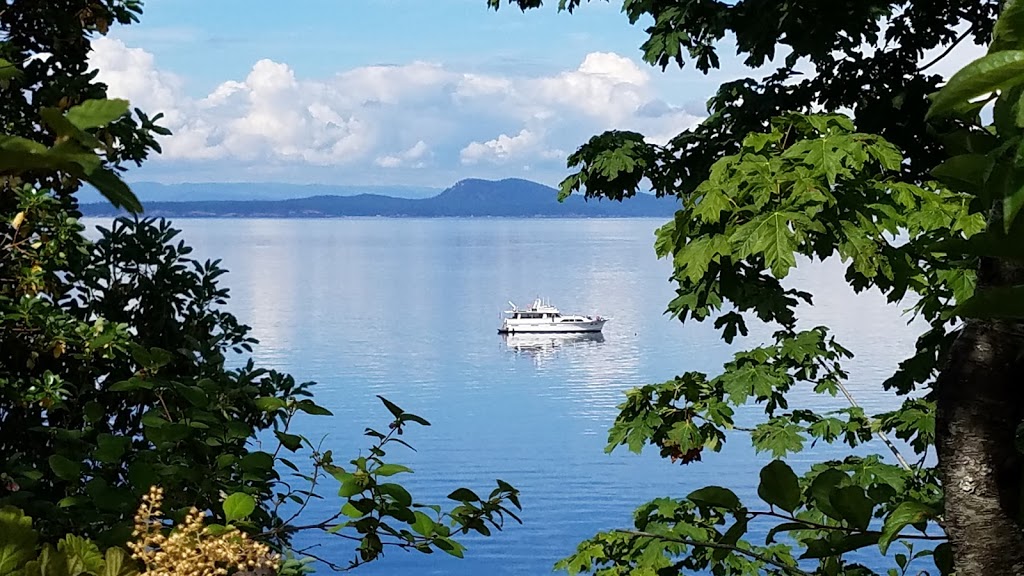 Lady of the Sea Adventures | Gate 3 Squalicum Harbor E West, 25, Bellingham, WA 98225, USA | Phone: (360) 319-7119