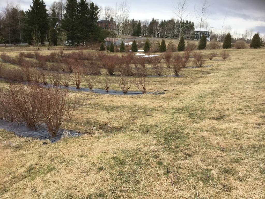 Ferme Des Camerises | 5011 Chemin St Louis, Alma, QC G8E 1A6, Canada | Phone: (418) 487-4883