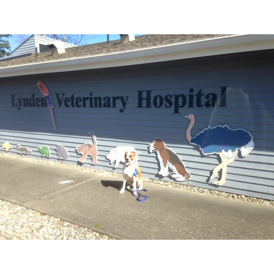 Lynden Veterinary Hospital | 1919 Front St, Lynden, WA 98264, USA | Phone: (360) 354-7988