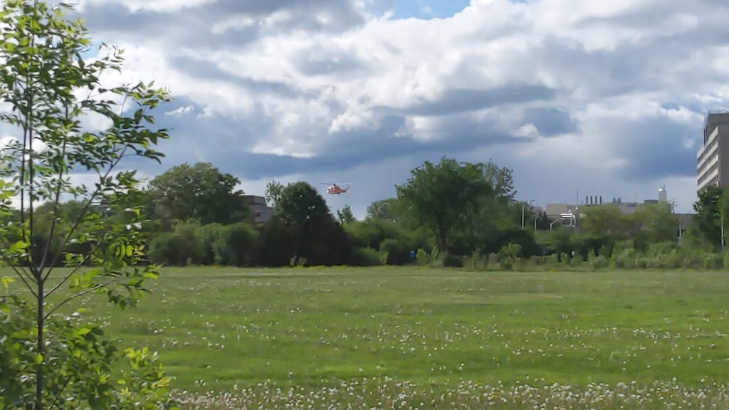 Lynda Lane Park | 580 Smyth Rd, Ottawa, ON K1H 8M2, Canada | Phone: (613) 580-2595