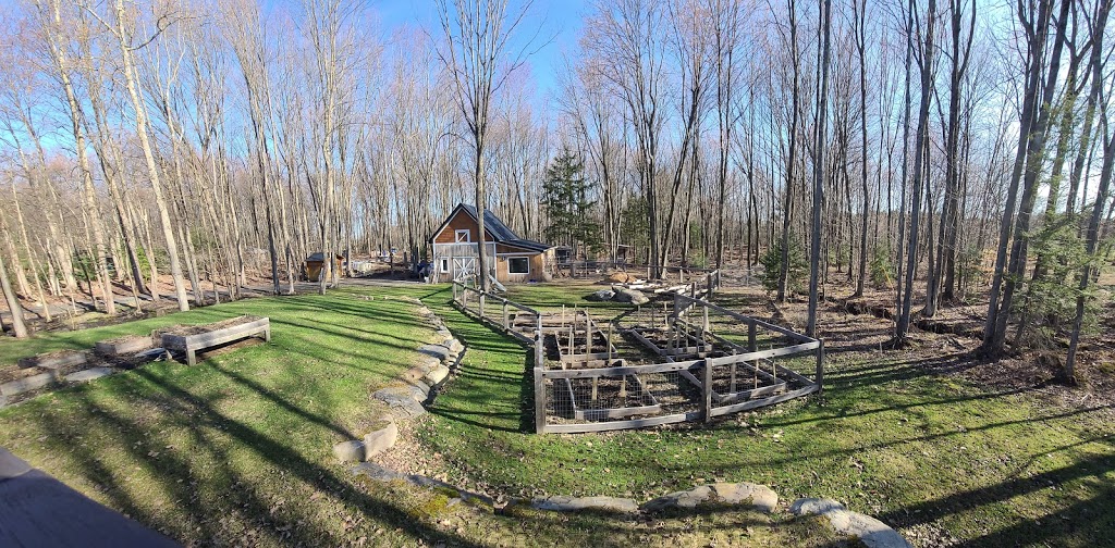 Bee Farm Brigham | 239 Chemin Hallé O, Brigham, QC J2K 4J7, Canada | Phone: (514) 463-5547