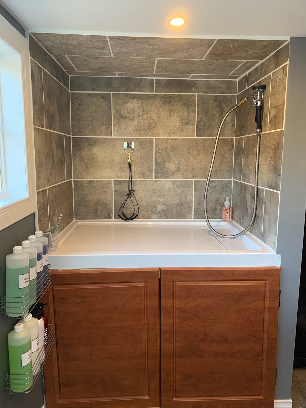 Creekside K9 Spa | 48259 Rush Creek Line, Aylmer, ON N5H 2R2, Canada | Phone: (519) 765-1944
