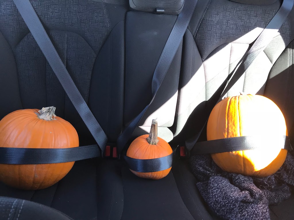 Warner Ranch & Pumpkin Farm | 7705 Schisler Rd, Welland, ON L3B 5N4, Canada | Phone: (905) 384-2684
