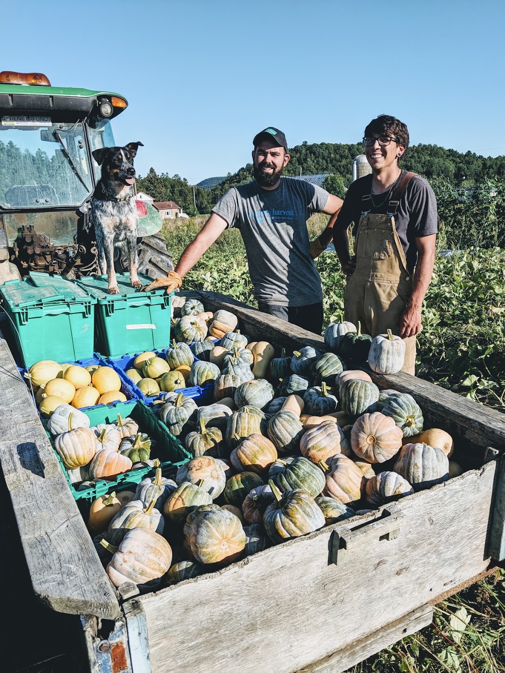 Rooted Oak Farm | 9230 Branch Rd, North Augusta, ON K0G 1R0, Canada | Phone: (613) 340-7633
