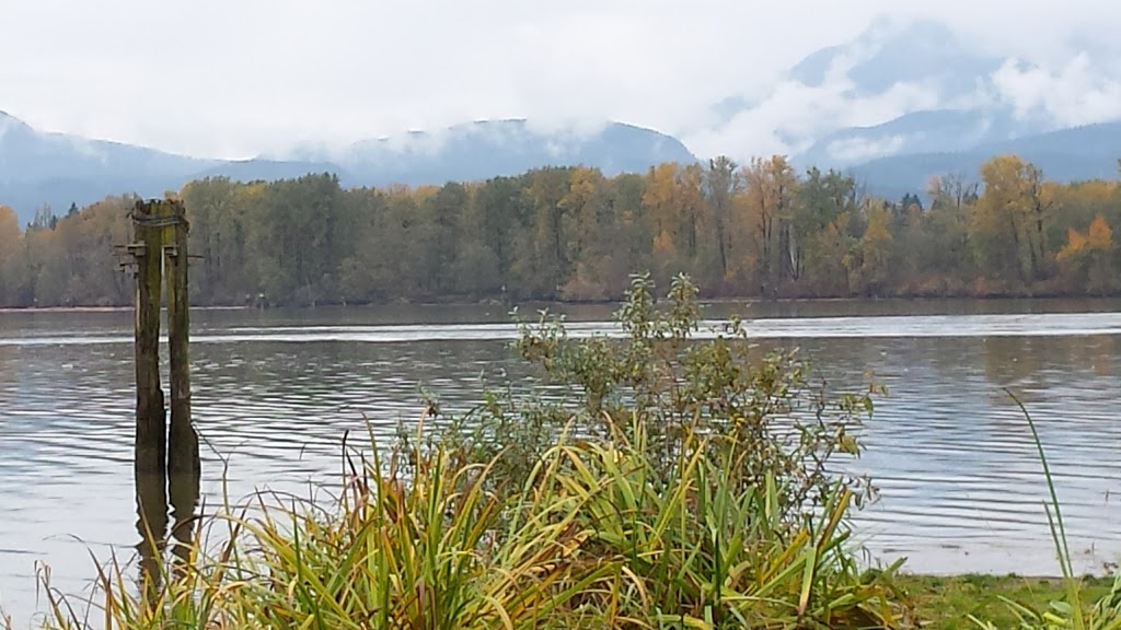 Brae Island Regional Park | 9451 Glover Rd, Langley City, BC V1M 2R9, Canada | Phone: (604) 432-6200