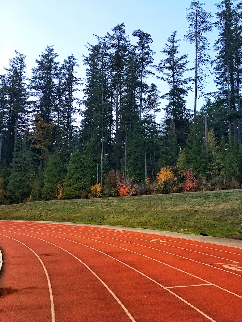 White Rock South Surrey Titans Minor Football | 15355 24 Ave #800, Surrey, BC V4A 2H9, Canada | Phone: (604) 808-6932
