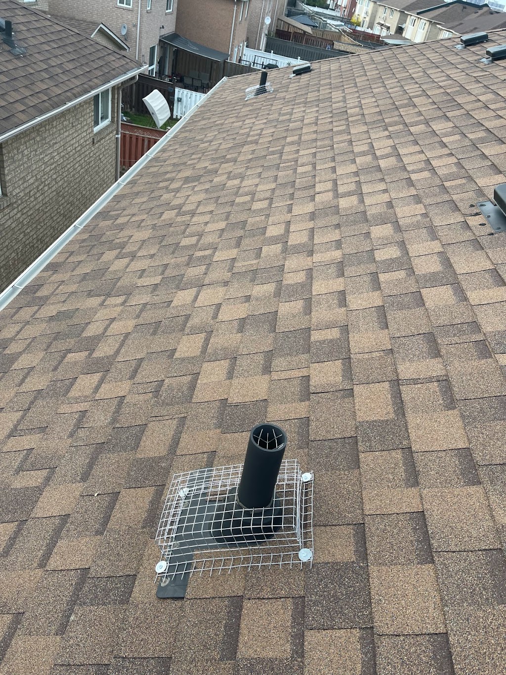 Canadian Wildlife Removal INC | 304 Buick Blvd, Brampton, ON L7A 4L8, Canada | Phone: (905) 233-2412