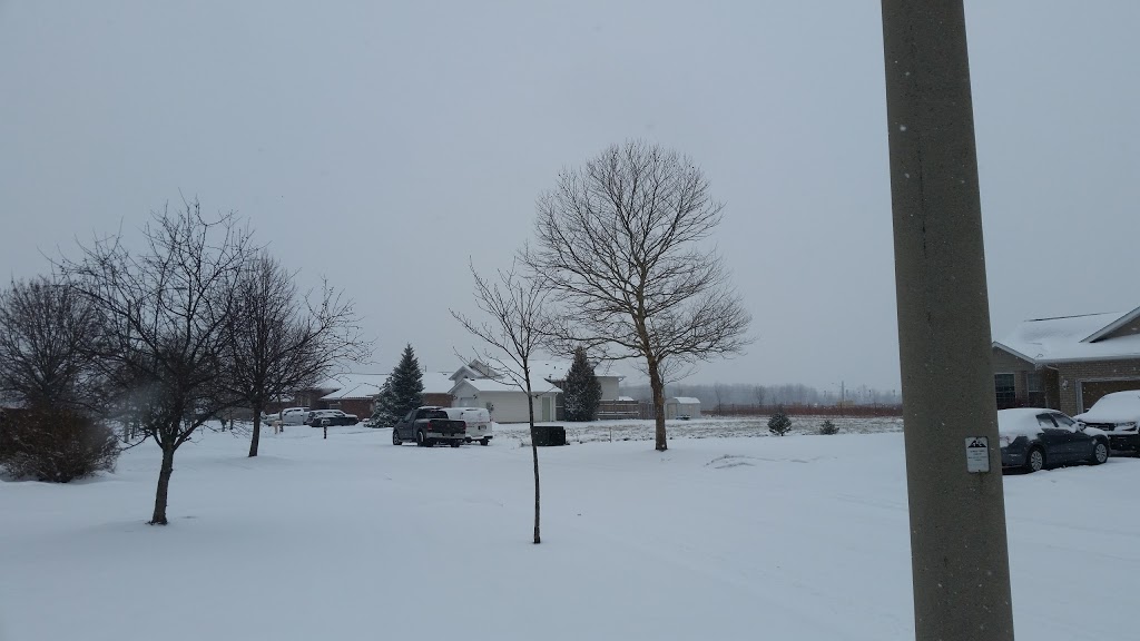 Black Creek Community Association | 2959 Baker Rd, Stevensville, ON L0S 1S0, Canada | Phone: (905) 382-2306