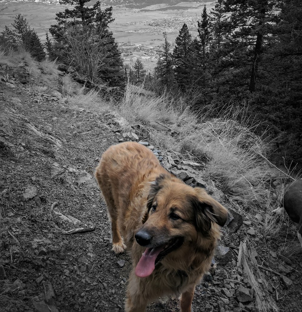 Tom Lacey Trail | Merritt, BC V1K 1J5, Canada | Phone: (250) 280-6590