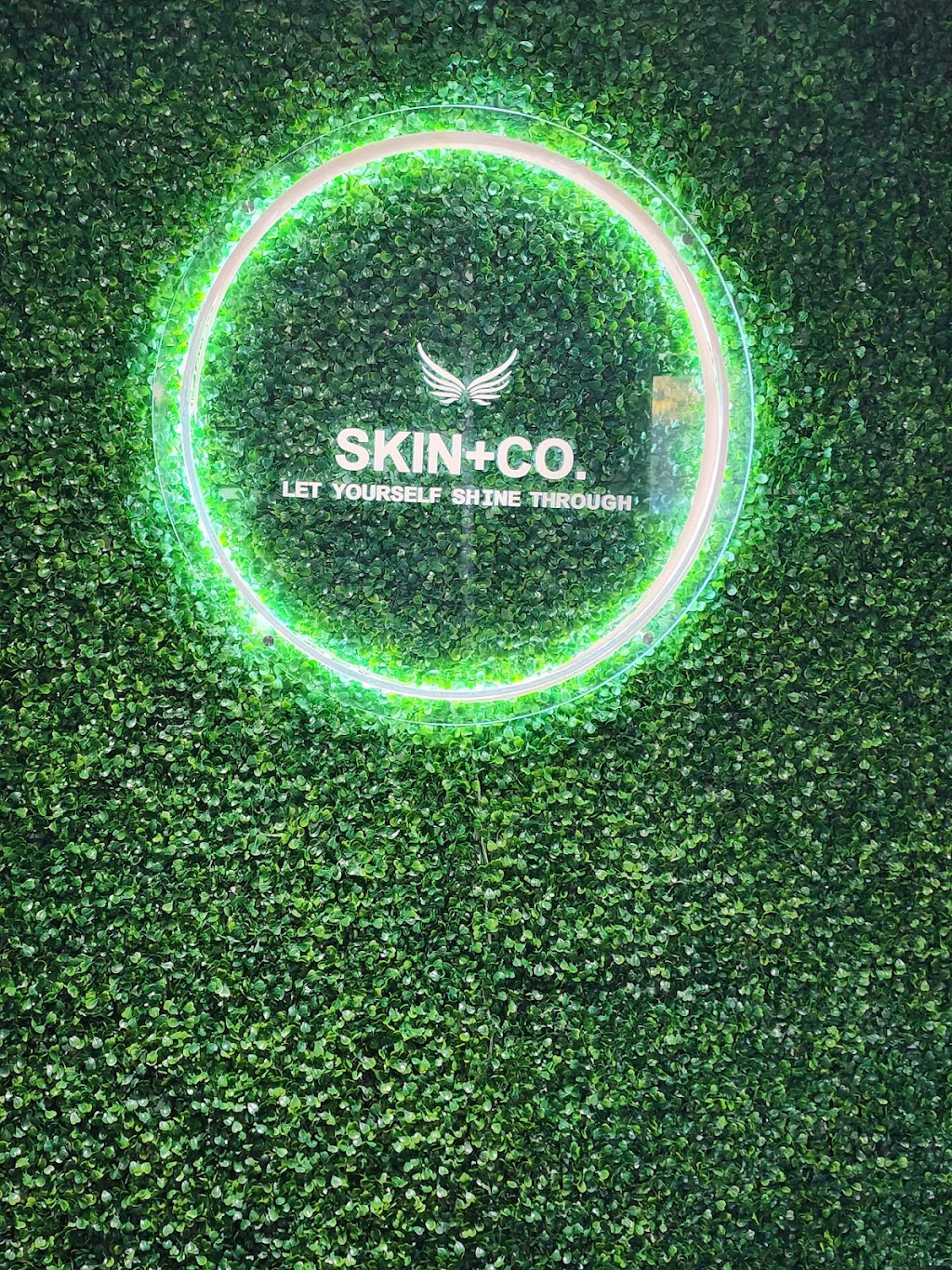 Skin+co. | 1948 Romina Ct, Innisfil, ON L9S 4X9, Canada | Phone: (647) 891-8564