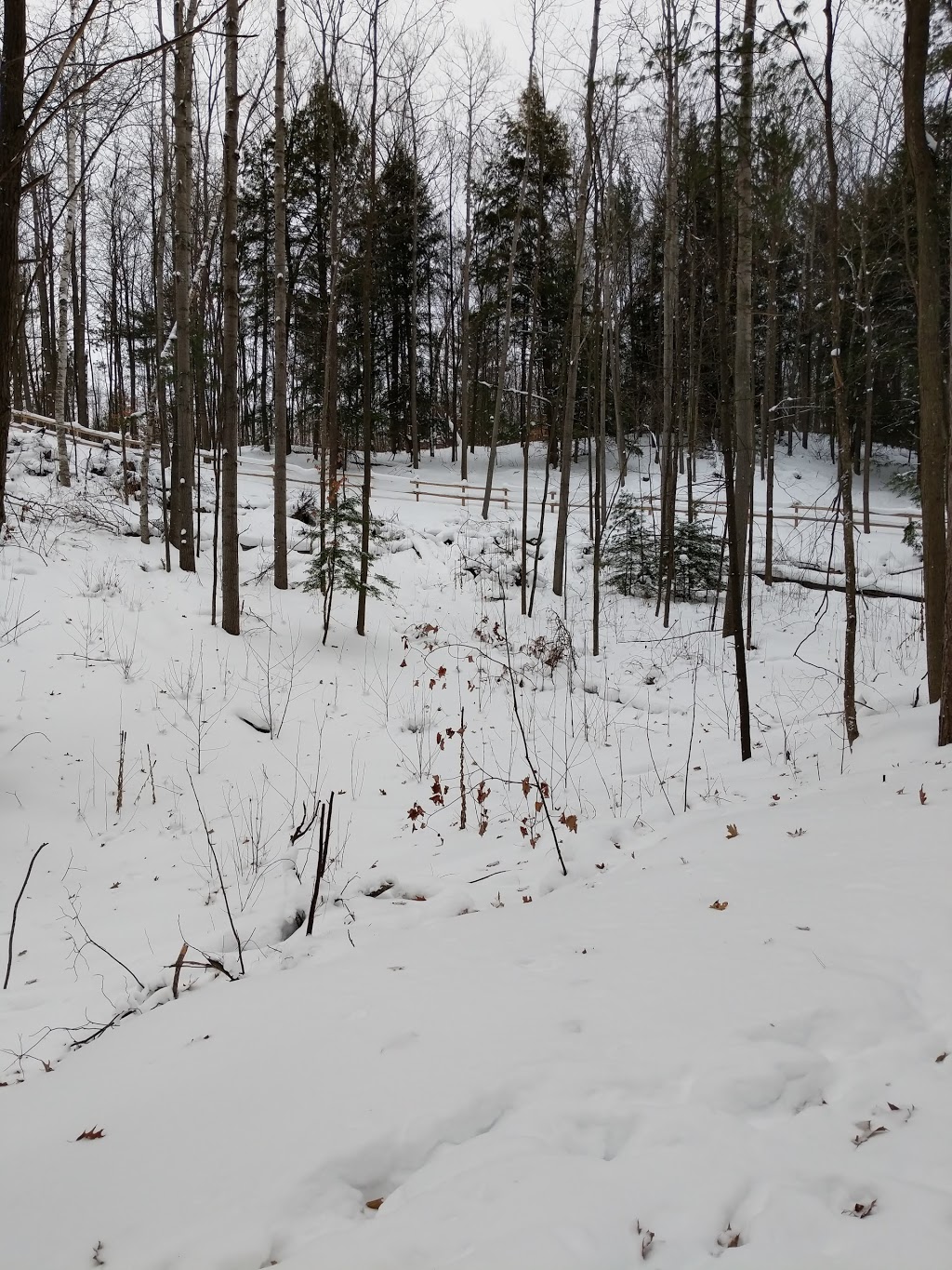 Hickling Recreational Trail | 1177 Snow Valley Rd, Minesing, ON L0L 1Y3, Canada