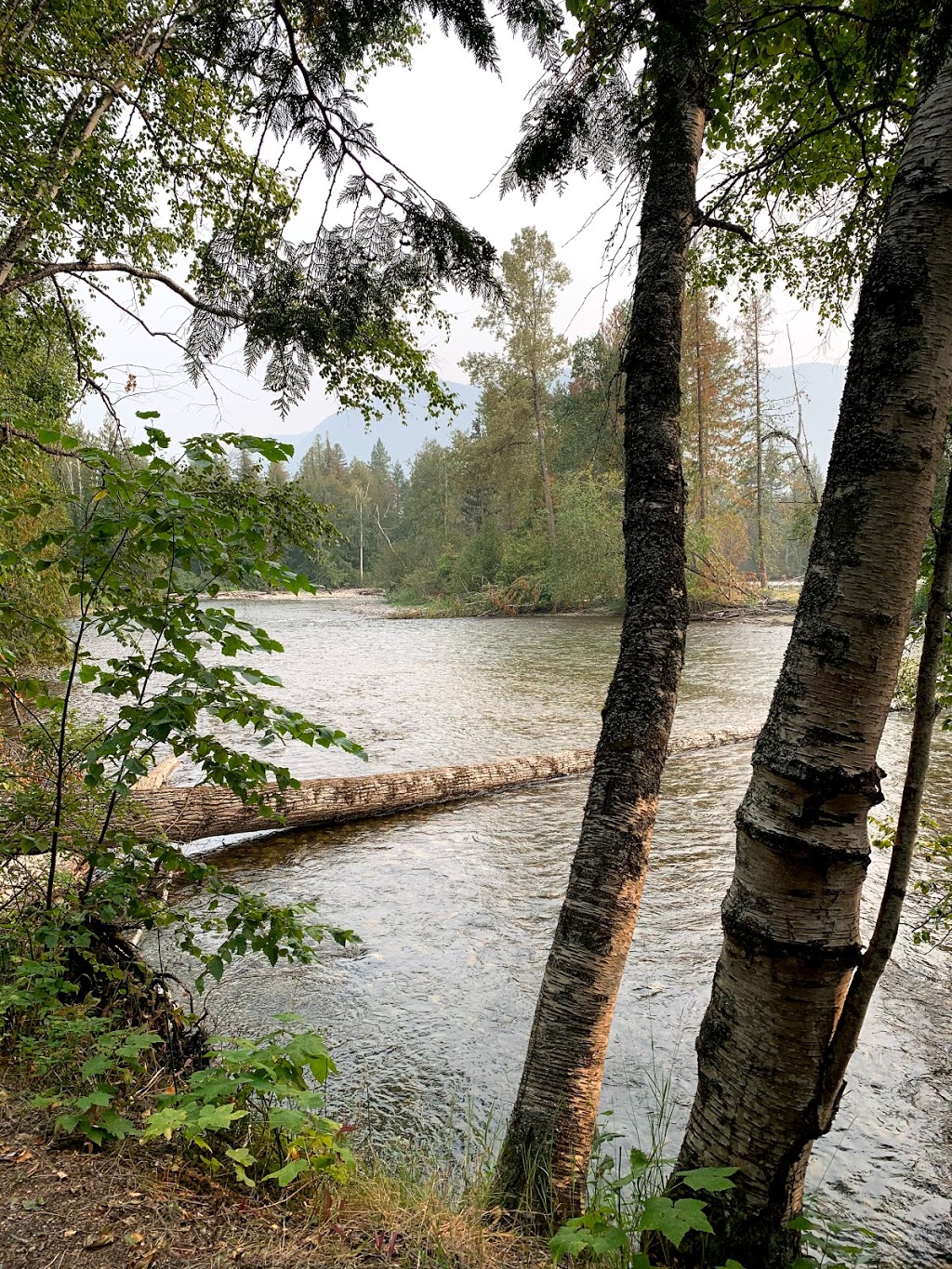 Tsútswecw Provincial Park | Lee Creek, Celista, BC V0E 1M6, Canada | Phone: (250) 955-0861