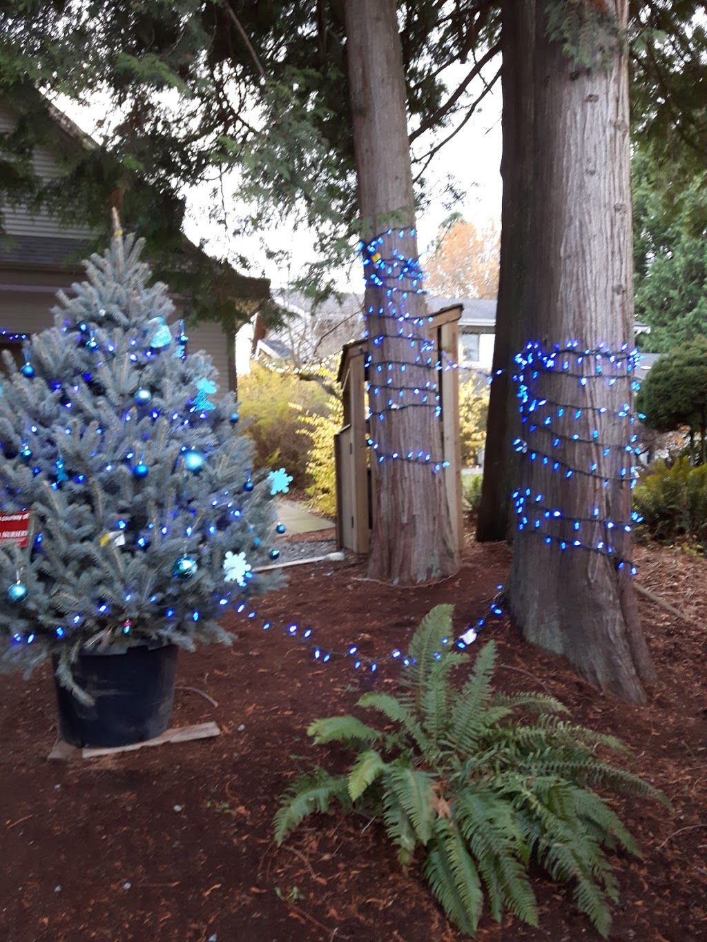 Langley Hospice Society | 20660 48 Ave, Langley City, BC V3A 3L6, Canada | Phone: (604) 530-1115