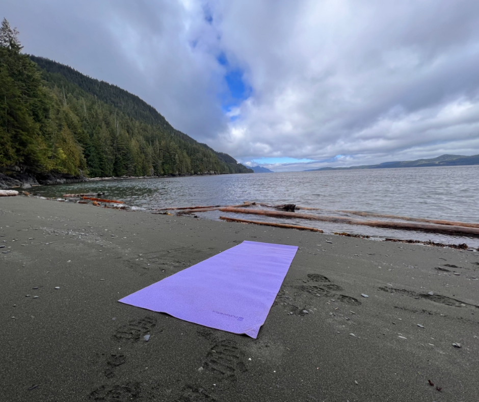 Orca Camp Vancouver Island | 1811 Surgenor Rd, Black Creek, BC V9J 1G6, Canada | Phone: (250) 337-5717