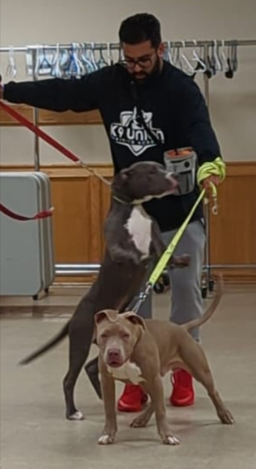 K9 Union Training Academy | 647 Crimson Crescent, Oshawa, ON L1J 8C9, Canada | Phone: (647) 889-4275