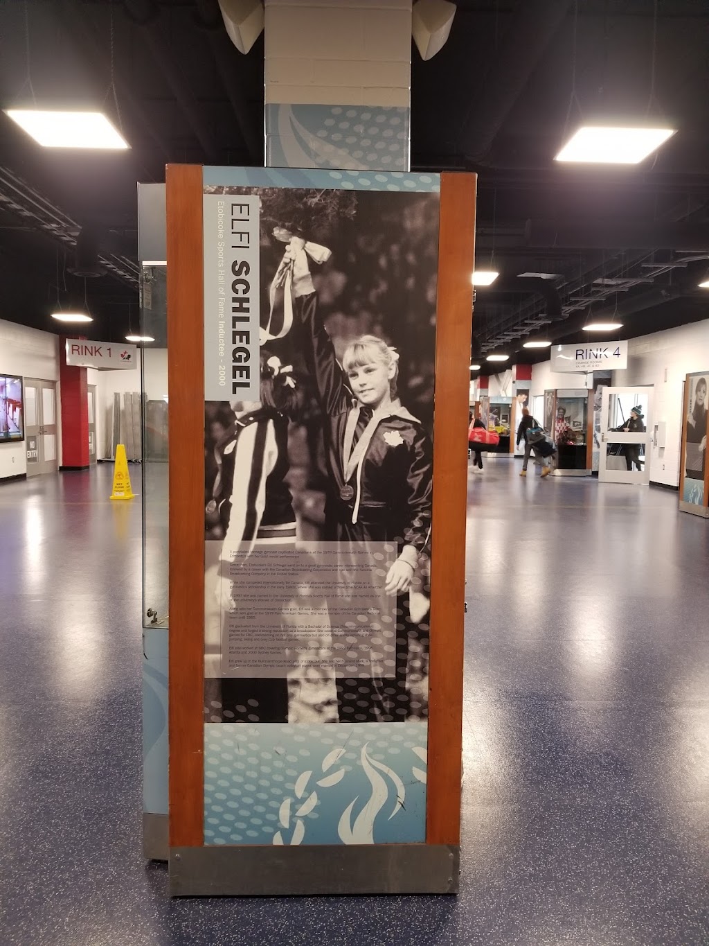 Etobicoke Sports Hall of Fame | museum | 400 Kipling Ave, Etobicoke, ON M8V 3L1, Canada | 4162544429 OR +1 416-254-4429